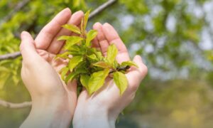 what is kratom addiction
